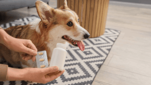 escolher_probioticos