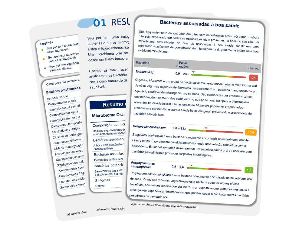 informativo_oral_exemplo